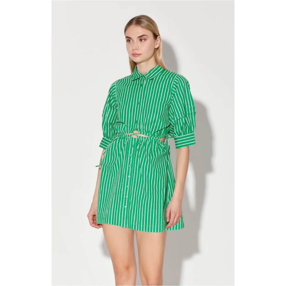 NWT Walter Baker green and white striped meera dress size large